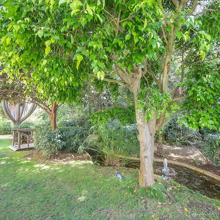 Luxury In With Parking And Pool Apartment *