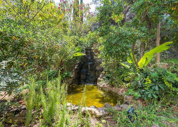 Luxury In With Parking And Pool *