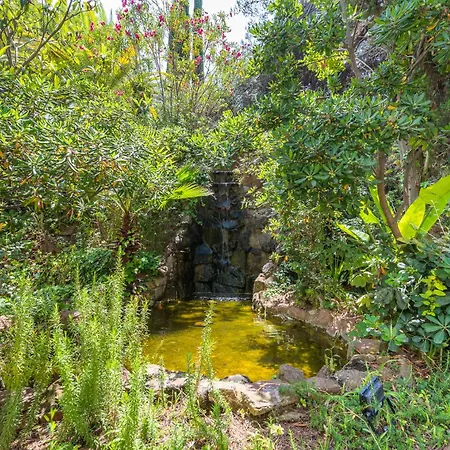 Luxury In With Parking And Pool *